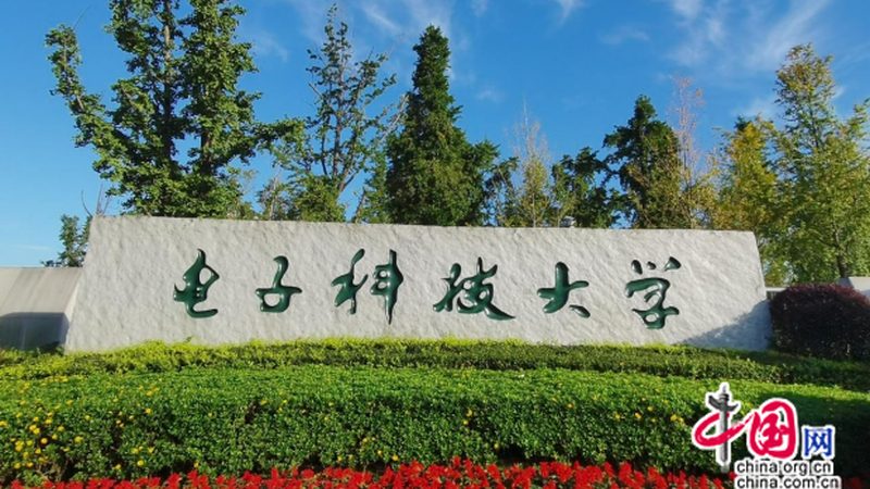 电子模块尺寸规格：揭秘尺寸背后的技术考量**